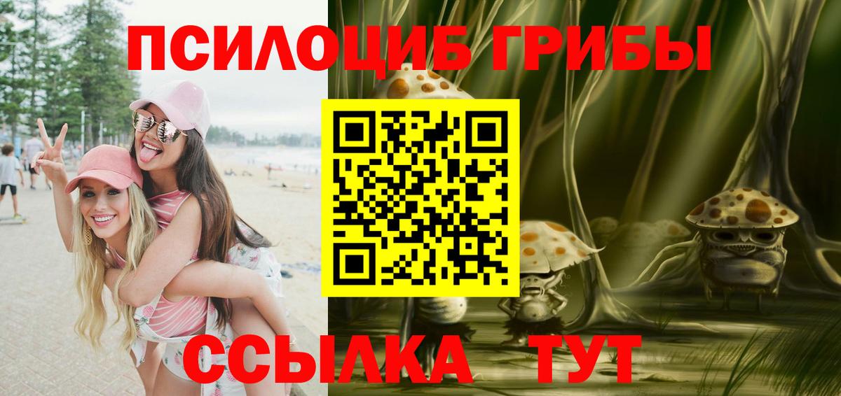 Псилоцибиновые грибы Cubensis Киселёвск