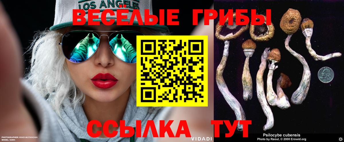 Псилоцибиновые грибы мухоморы  Галлюциногенные грибы ЛСД  Киселёвск  Вход с VPN 